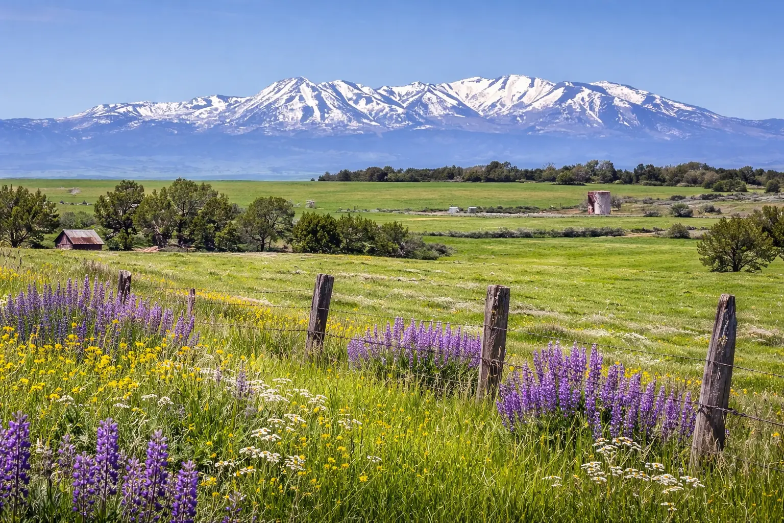 Four Corners mountain landscape